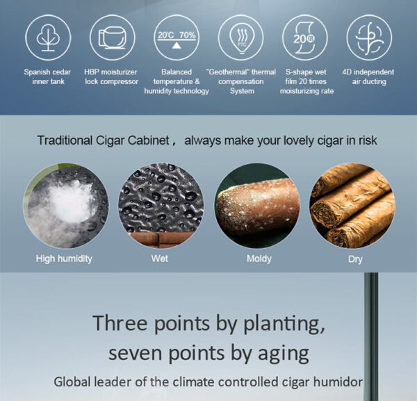 Raching Cigar Humidor