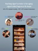 Raching Cigar Humidor