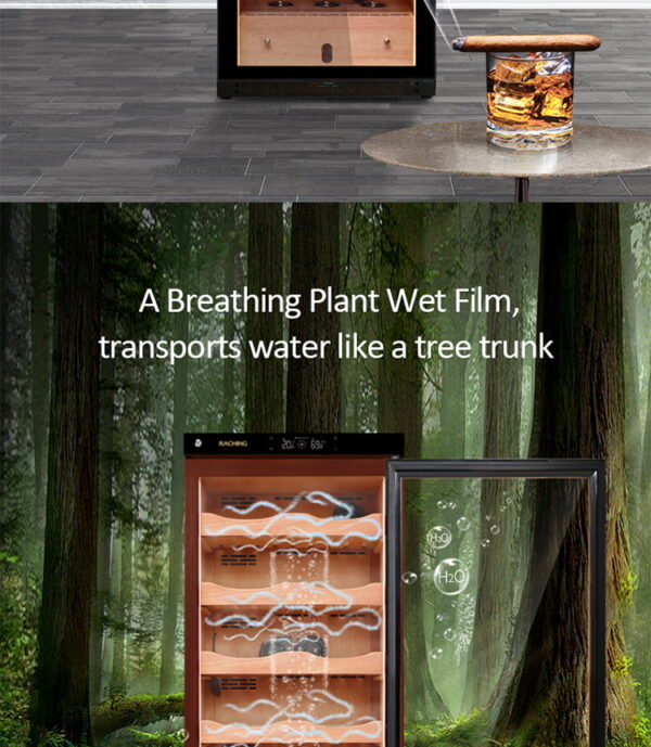 Raching Cigar Humidor