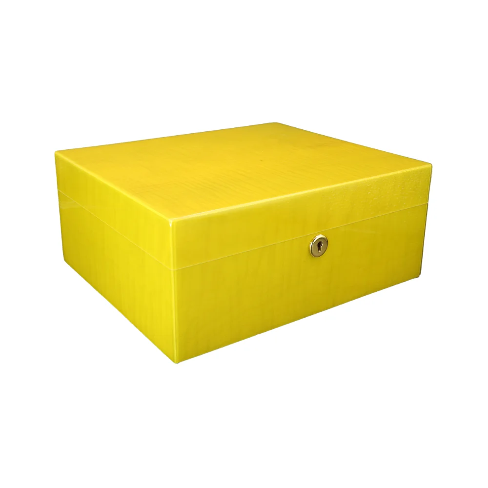 Cigar Humidor Case