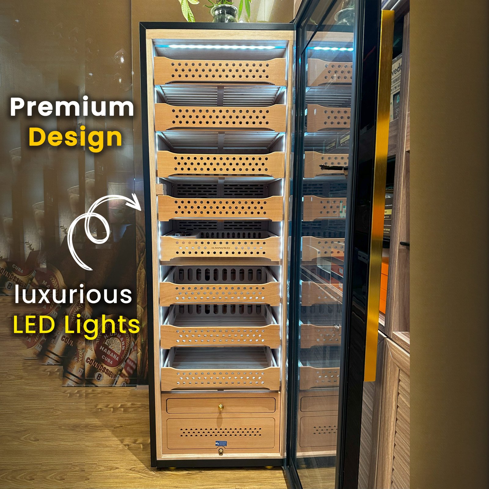 Premium Design And Luxury Interior
