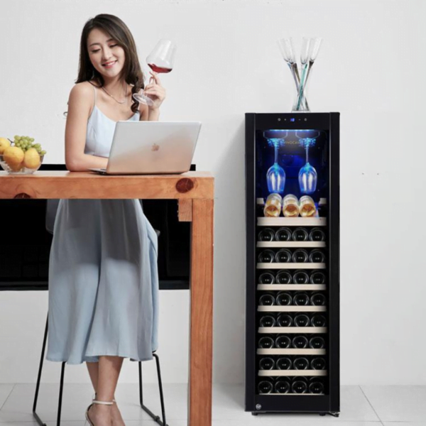 wine Cooler Wine Fridge