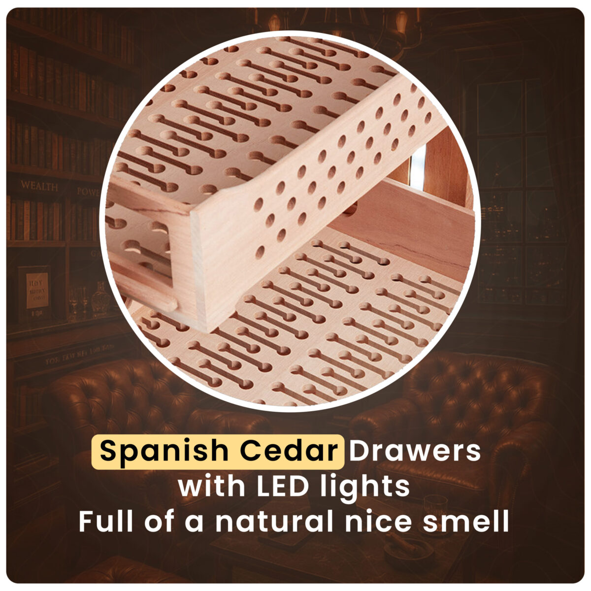 Afidano C8 Luxury electric cigar humidor, 2500-3000 Capacity, Sculptural Canvas Finish, HPR Climate Control, 9 Spanish Cedar Drawers, app-Controlled & Fingerprint Lock