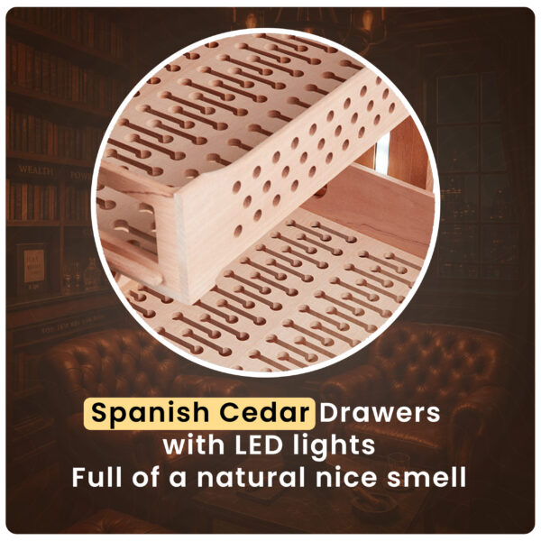 Afidano C8 Luxury electric cigar humidor, 2500-3000 Capacity, Sculptural Canvas Finish, HPR Climate Control, 9 Spanish Cedar Drawers, app-Controlled & Fingerprint Lock - Image 6