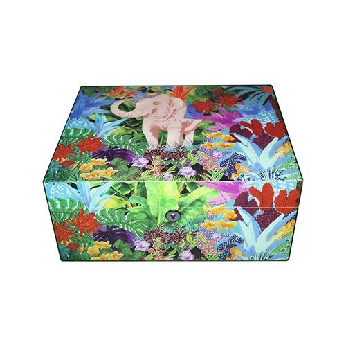 photo_6039394033534176476_x